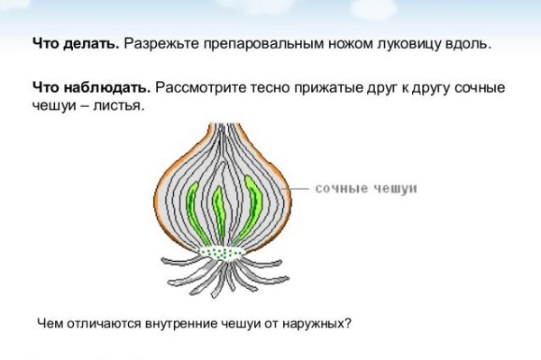 Bs gl официальный сайт blacksprut adress com