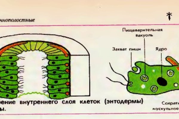 Onion сайты порно blacksprut adress com