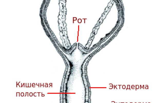 Заказать даркнет blacksprut adress com