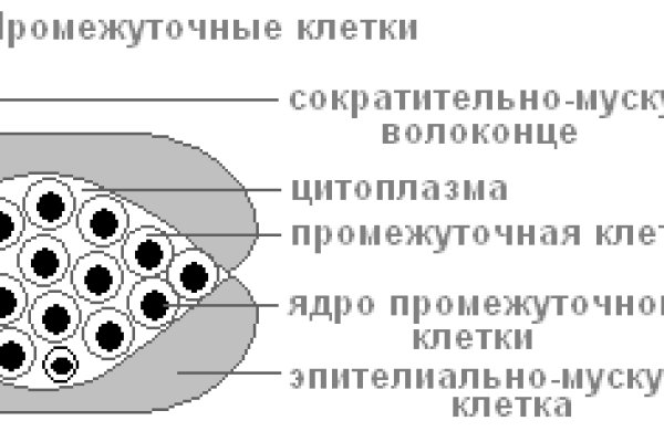 Https blacksprut com products