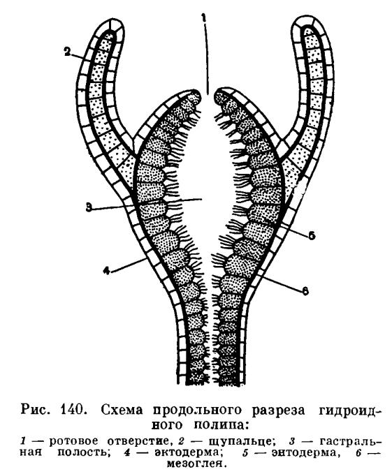 Блэк спрут ссылка bs2connect co